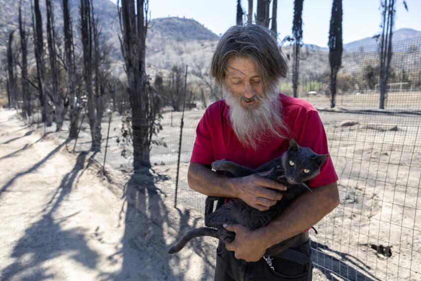 HAVILAH, CA - AUGUST 14: Daniel Gonzales, 64, was excited to be reunited with his cat he calls Fat Ass after the cat had gone missing for nearly three weeks since the start of the Borel fire. He noticed how thin he had gotten when he picked him up. Gonzales said all he has left are the truck he used to escape the flames and the cats he could find. He is currently living in his truck parked on a friend's driveway in Bodfish. Photographed in Havilah, CA in Kern County on Wednesday, Aug. 14, 2024. (Myung J. Chun / Los Angeles Times)