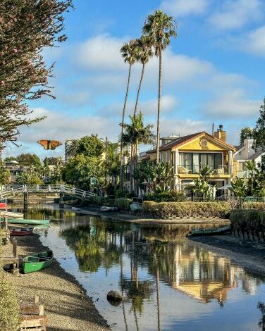 Reflections of a house and palm trees in the water of a Venice canal