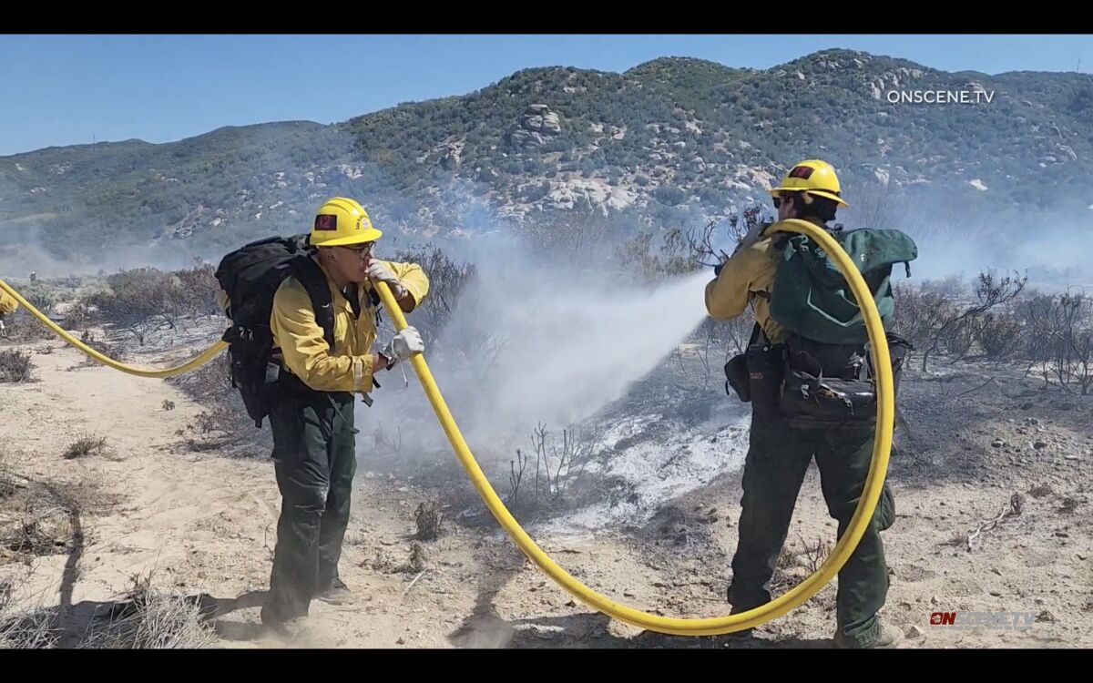 Two firefighters carry a hose and spray water on the remnants of a brush fire
