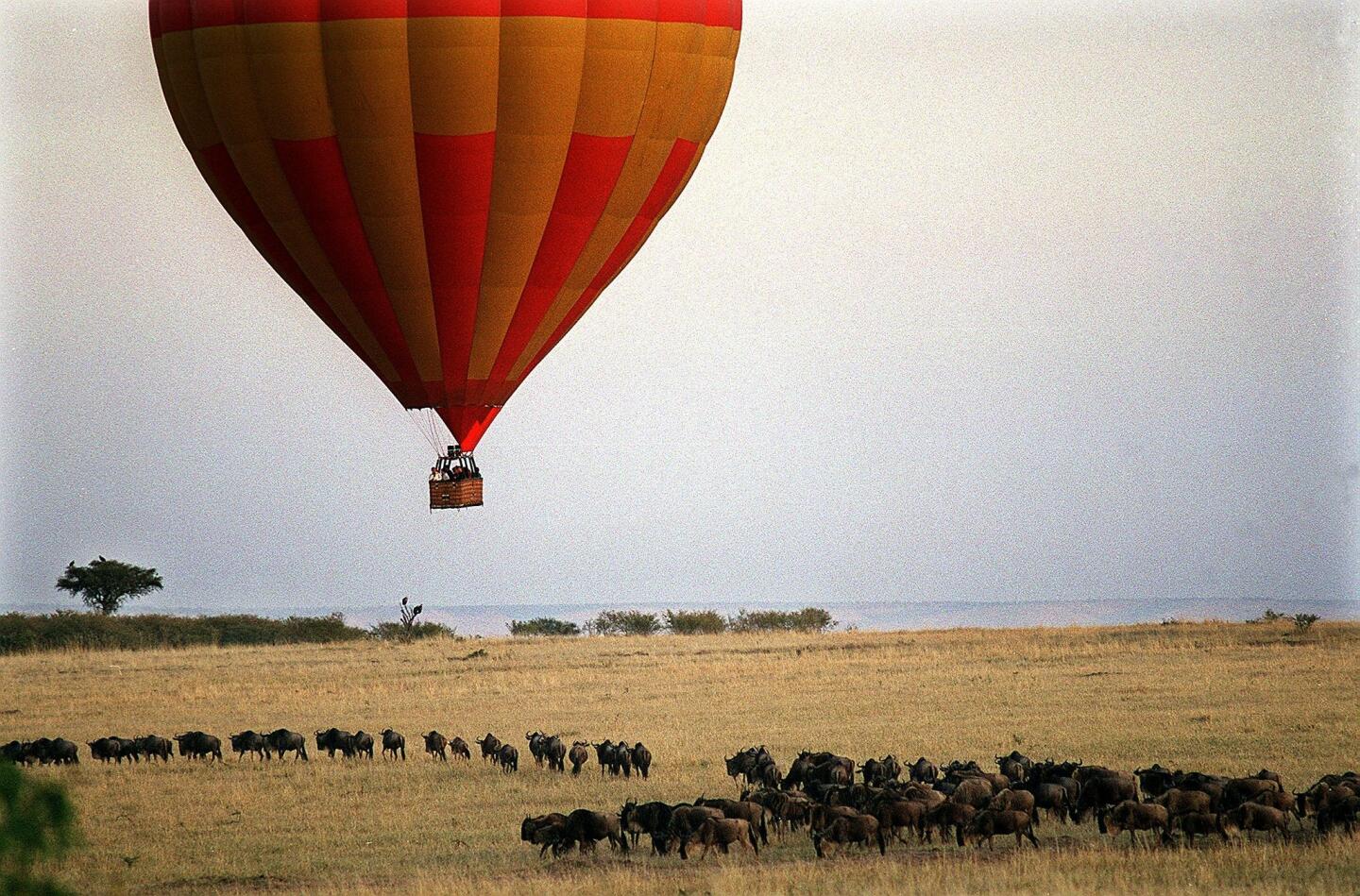Hot-air balloon ride Above the Masai Mara, Kenya, Africa