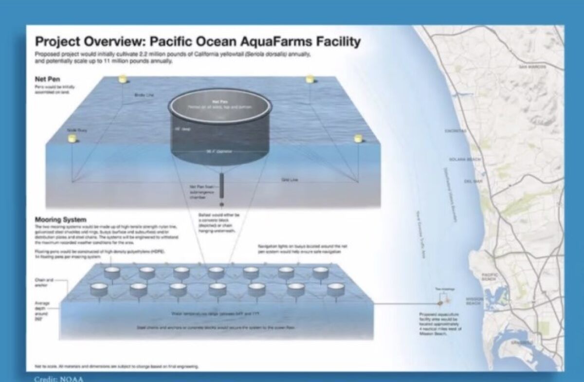 The Pacific Ocean AquaFarms project would encompass 719 acres off the coast of Bird Rock and Mission Beach.