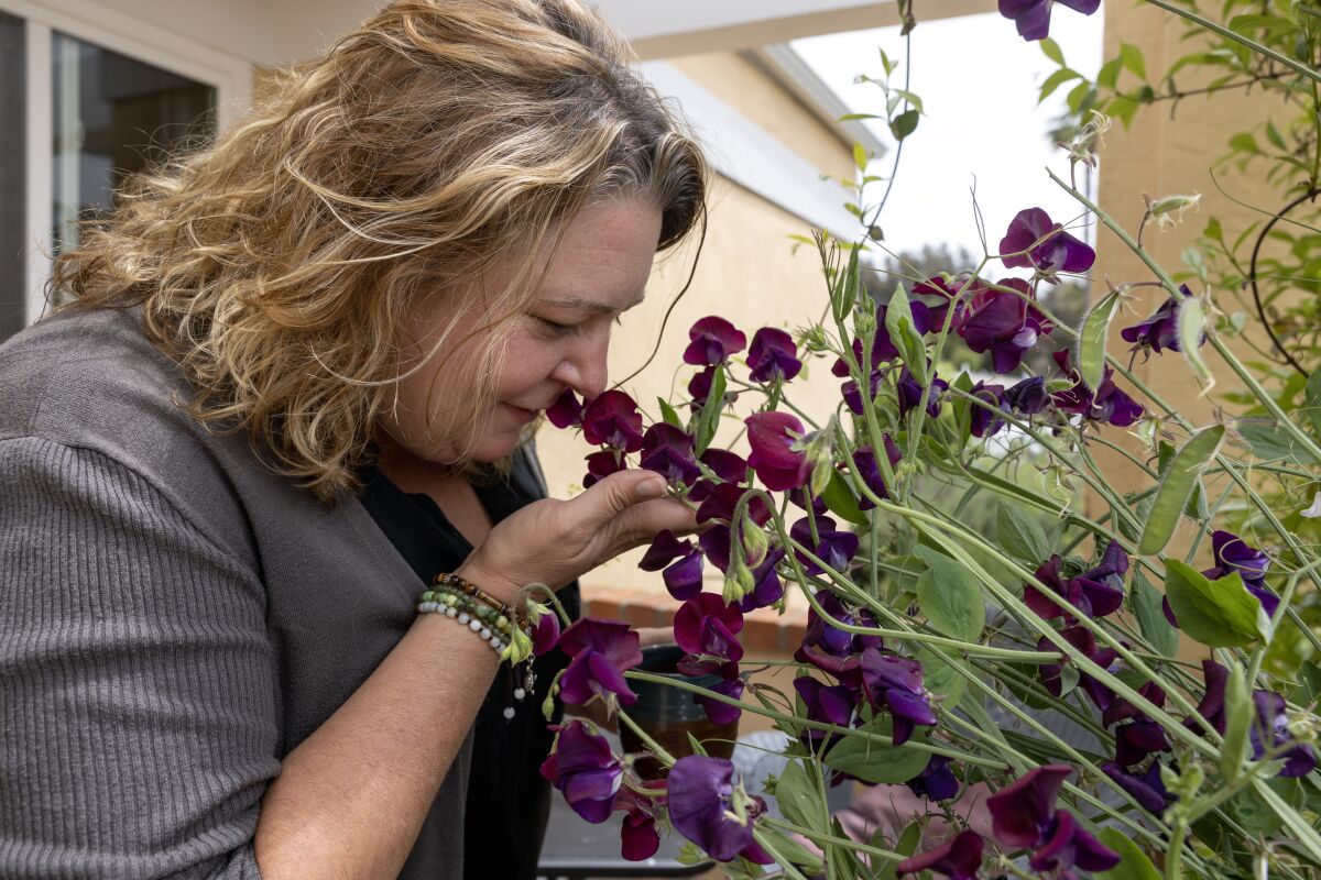 A woman smells the flowers of a sweet pea plant in her front yard.