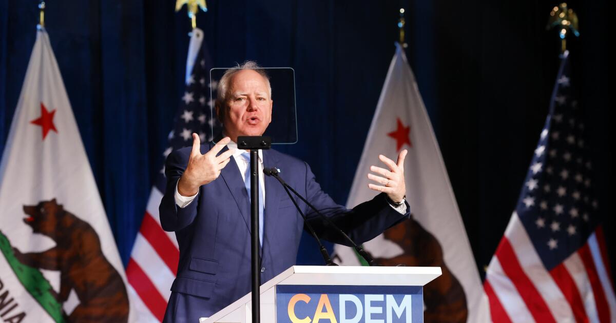 Commentary: Democrats are busy bashing themselves. Is it needed, or just needy?