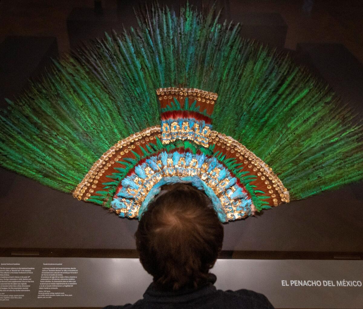 A man stands before the brilliantly colored feathered headdress that once reportedly belonged to Moctezuma