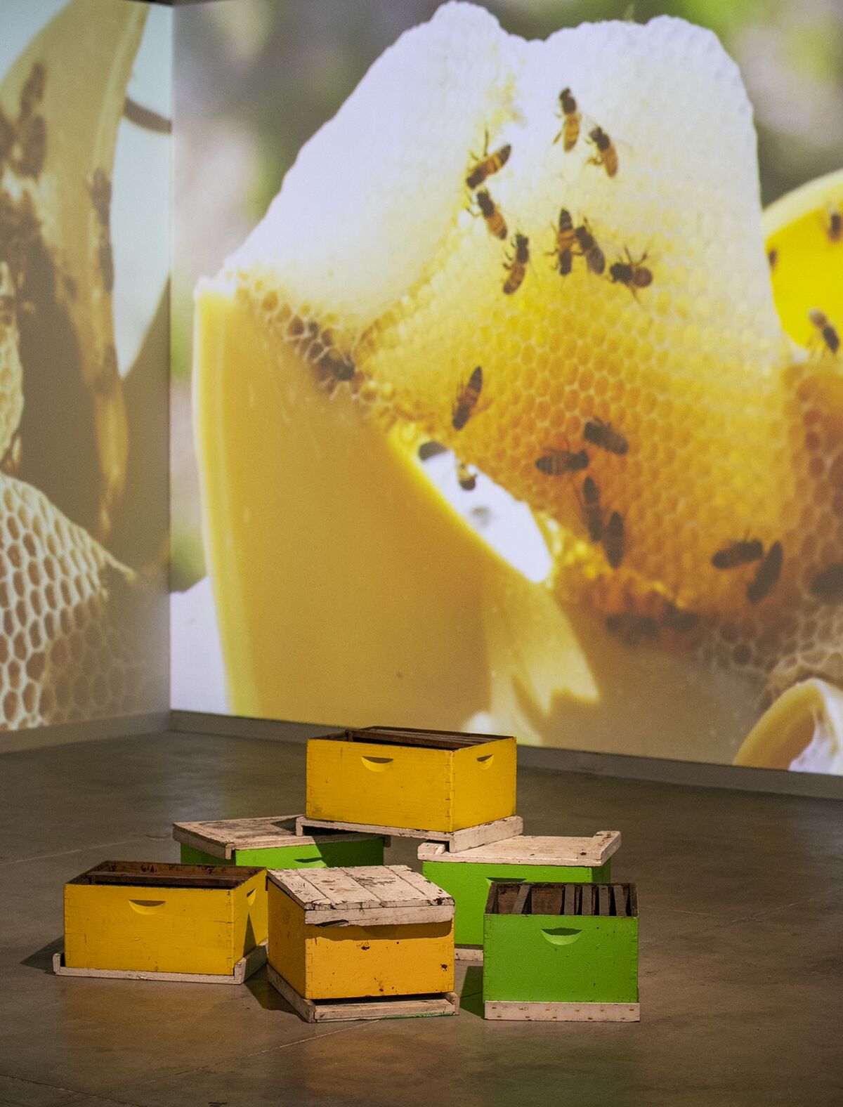 Bee hives and a video are part of "With Honey in the Mouth — Con Miel en la Boca."