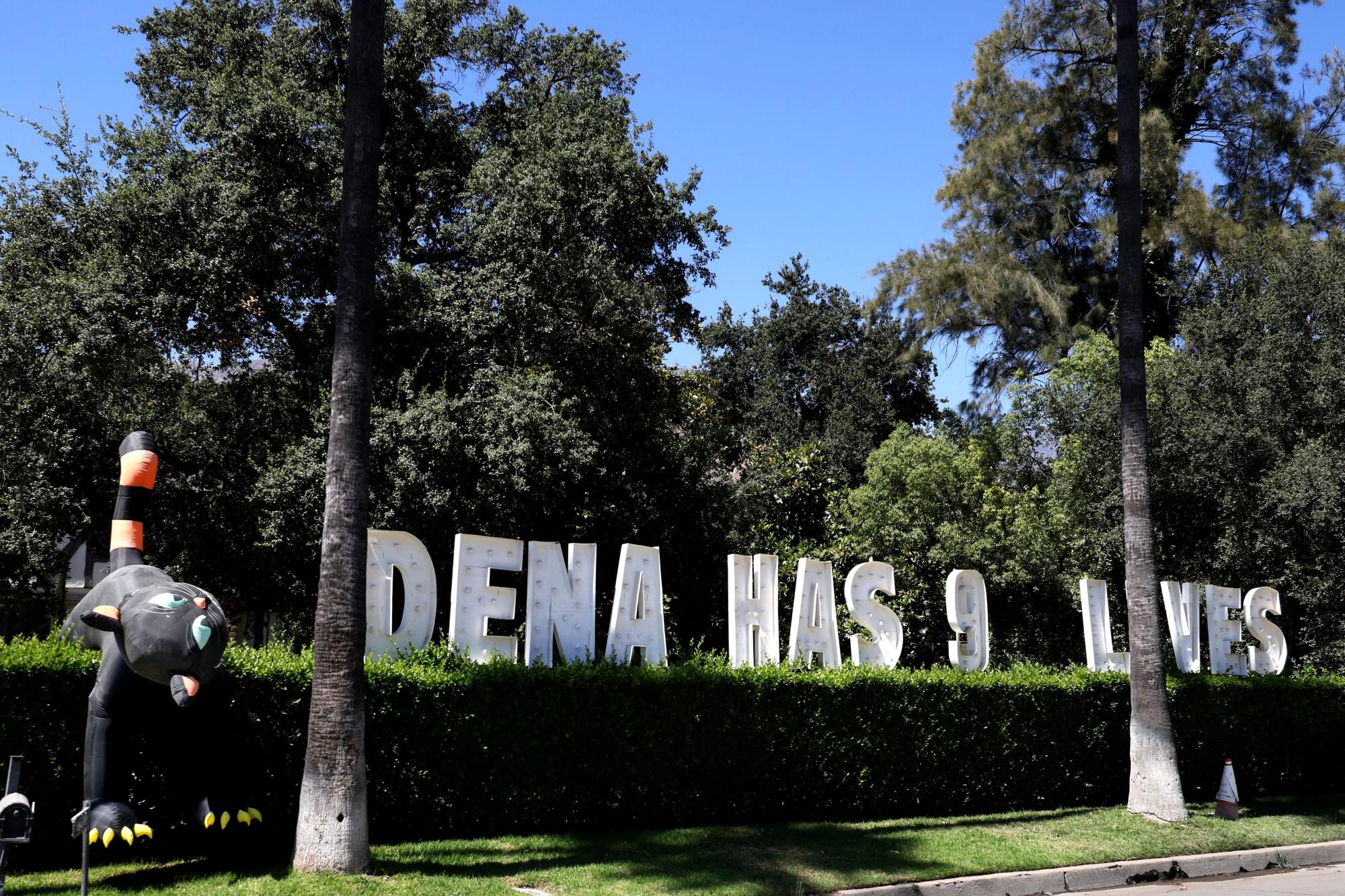 A sign stating, "Dena Has 9 Lives," rests on a hedge along E. Mendocino Street in Altadena.