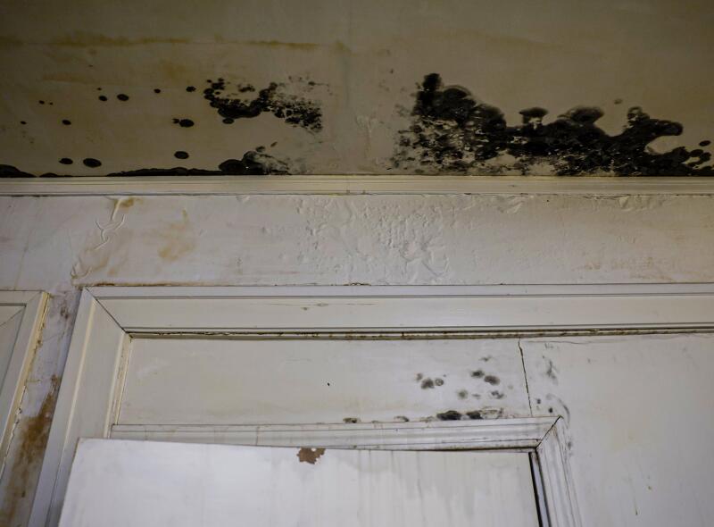Rain-damaged and moldy walls inside Echo Park United Methodist Church, 