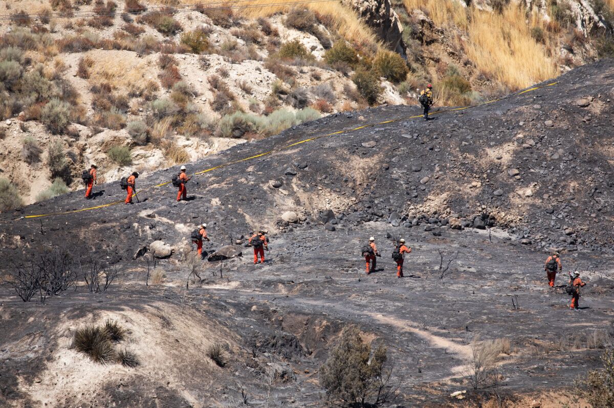 A fire crew walks through a charred field 