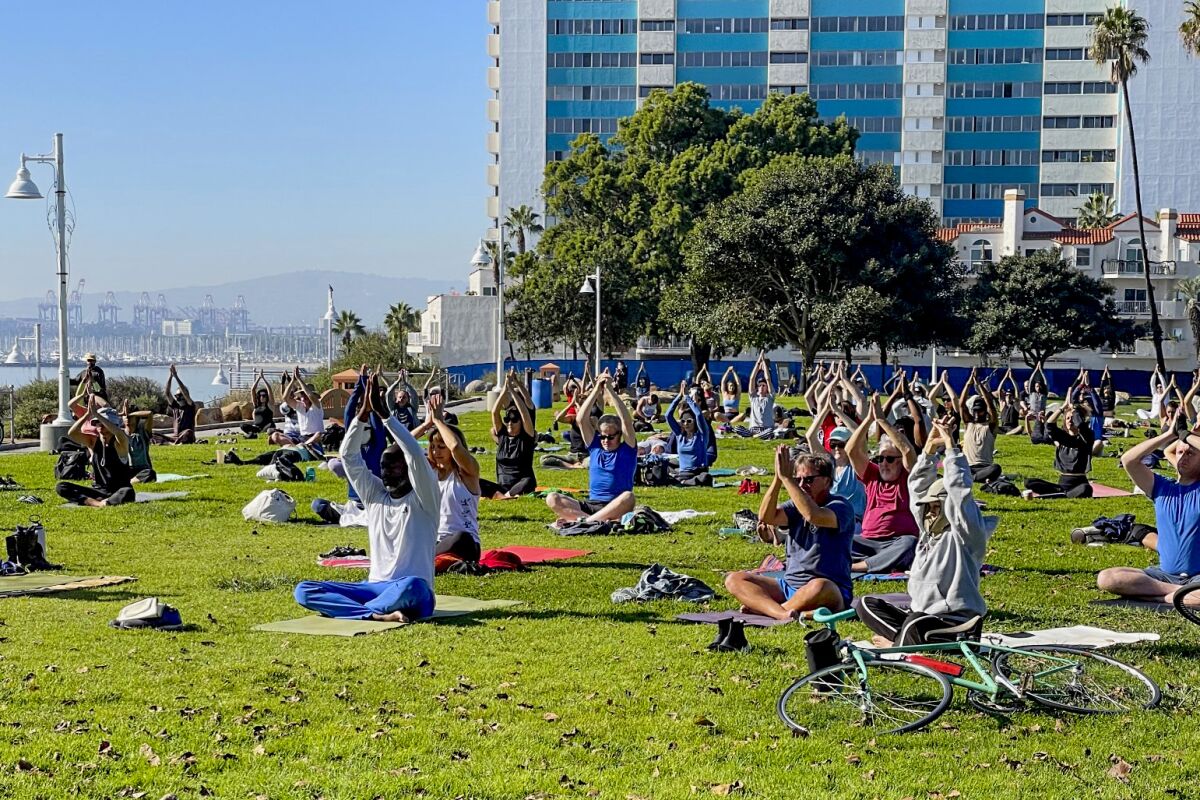Yogalution on the bluff in Long Beach.