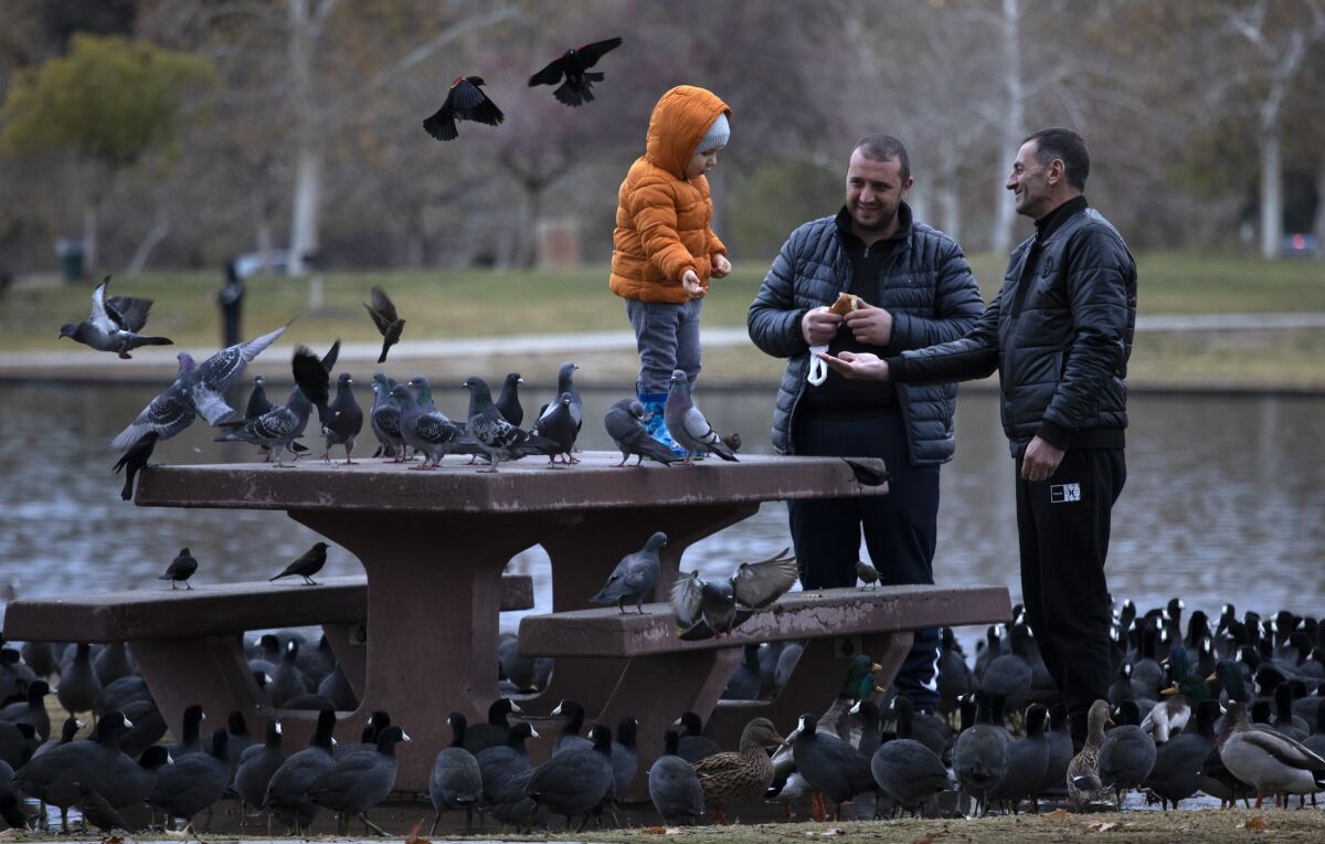 A young boy stands on a picnic table by a lake while his family feeds birds.