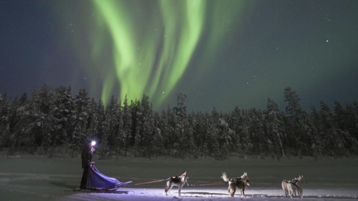 Dog-sledding under aurora borealis near Kiruna, Sweden.