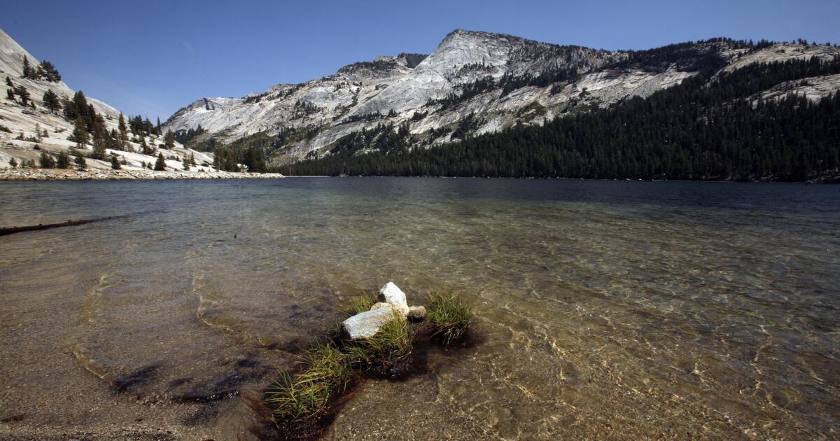 Op-Ed: The armed theft of John Muir’s Yosemite