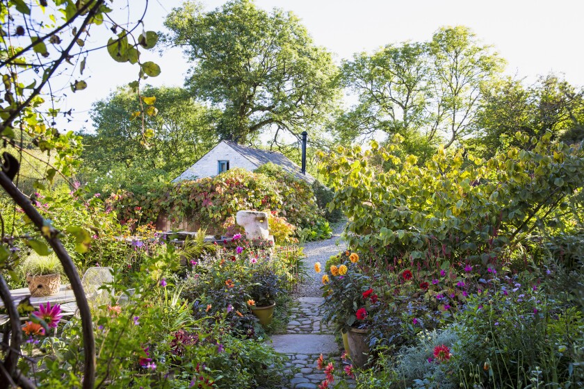 Dyffryn Fernant garden in Wales.