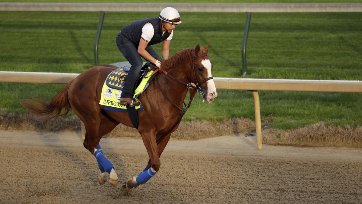 Kentucky Derby entrant Improbable runs during a workout at Churchill Downs on May 1. Improbable likely will be the favorite to win the Preakness Stakes.
