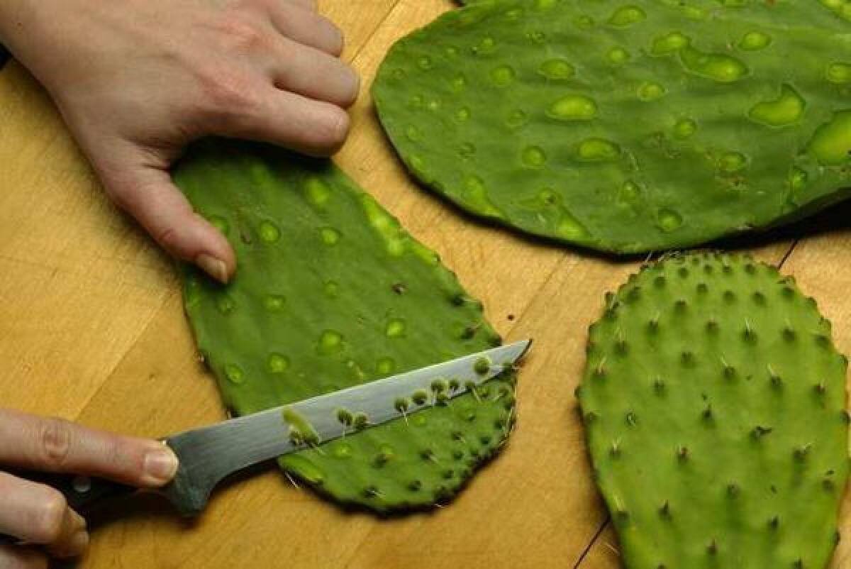 Cleaning cactus paddles.