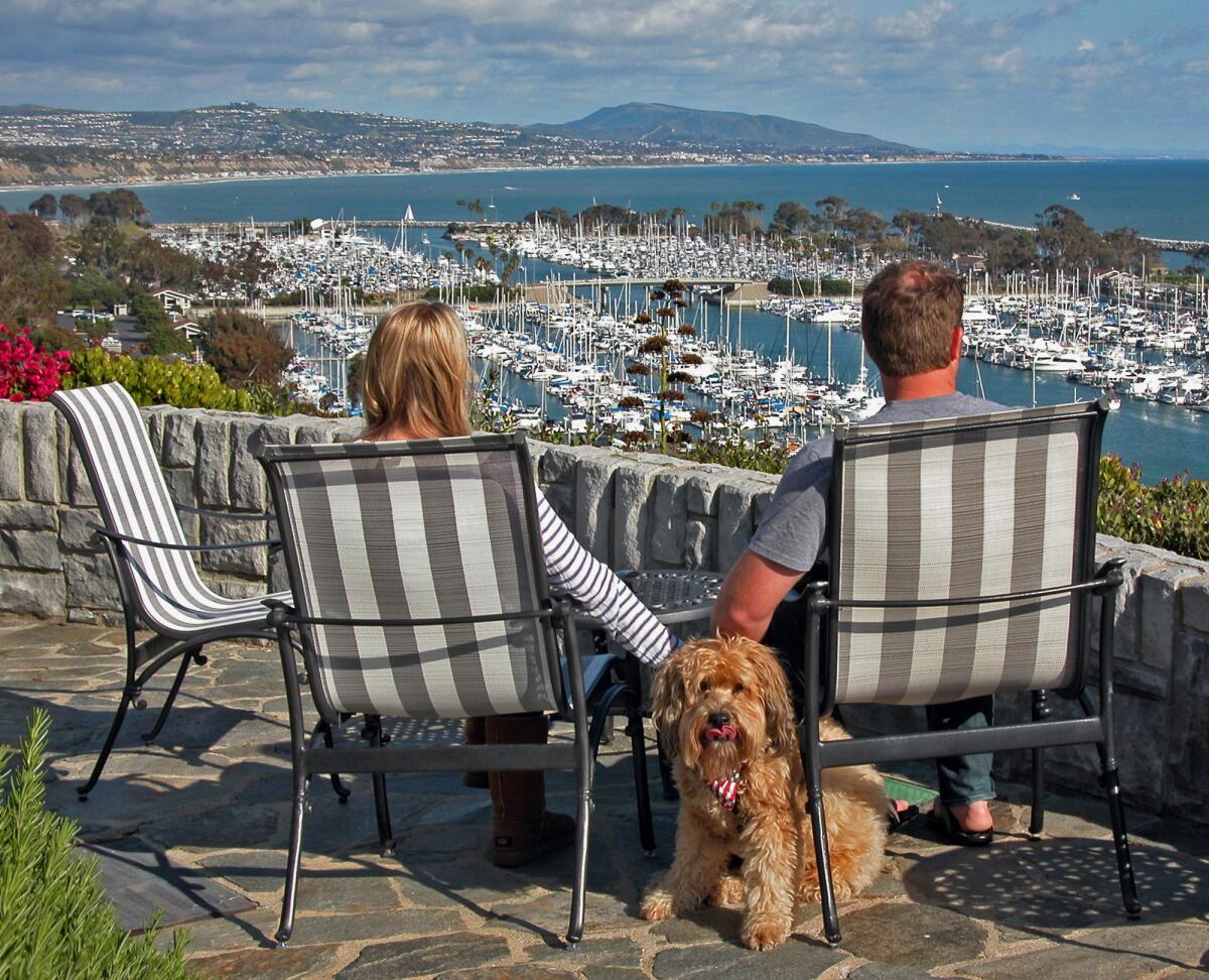 Darby makes friends on the patio at the Blue Lantern Inn overlooking Dana Point Harbor.