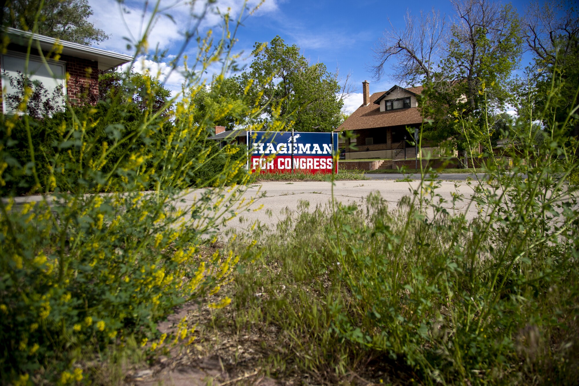 A campaign sign for Harriet Hageman sits on a front lawn in Casper.