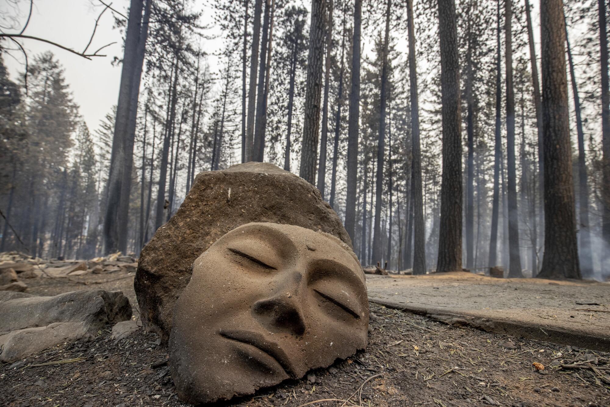 A broken sculpture with a serene face rests in front of burned trees.