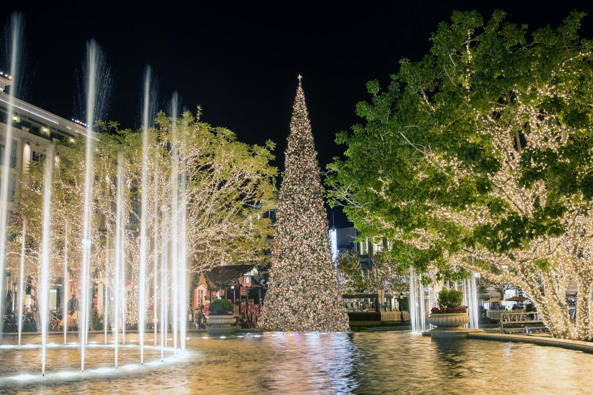 An 80-foot-tall Christmas tree in front of the fountain at Americana at Brand.