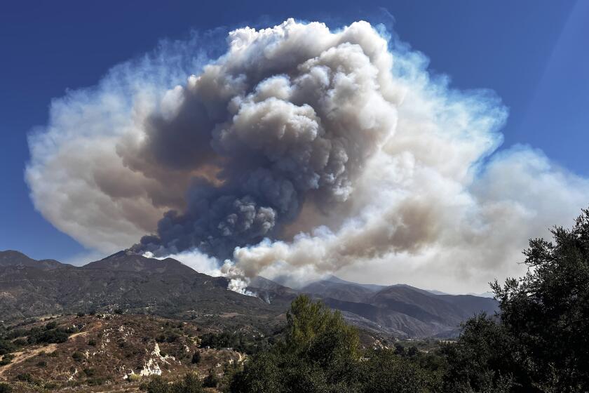 TRABUCO CANYON CALIF SEPTEMBER 10, 2024 - The Airport fire, currently threatening Santiago Peak, has charred more than 9,000 acres on Tuesday, Sept. 10, 2024. (Allen J. Schaben / Los Angeles Times)