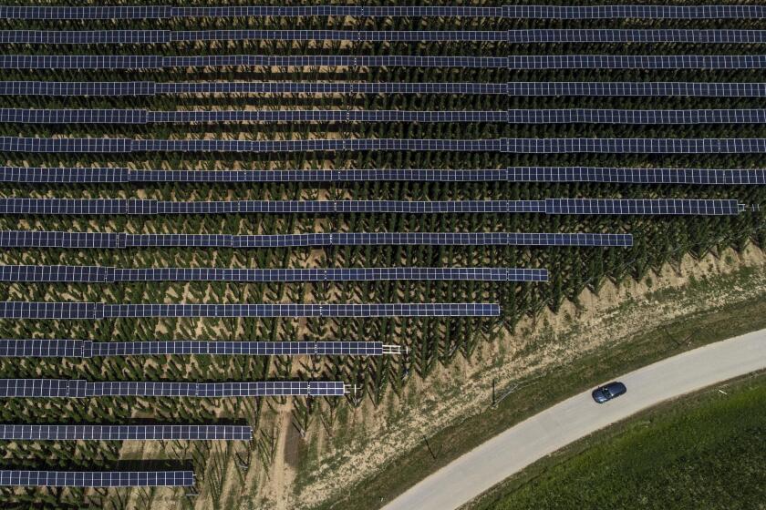Solar panels near a road in Germany.  