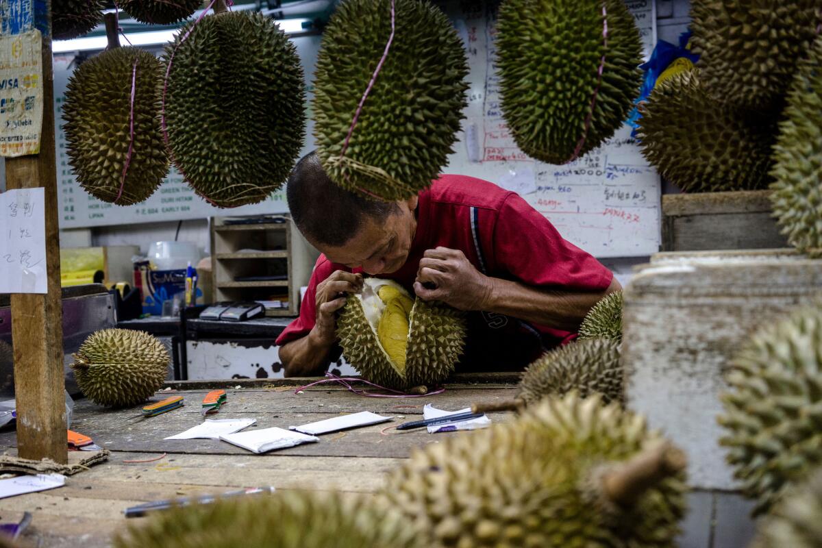 Teoh Nai Aun opens a durian at his roadside stall during the Durian Festival in Georgetown, Malaysia. (Suzanne Lee / For The Times)