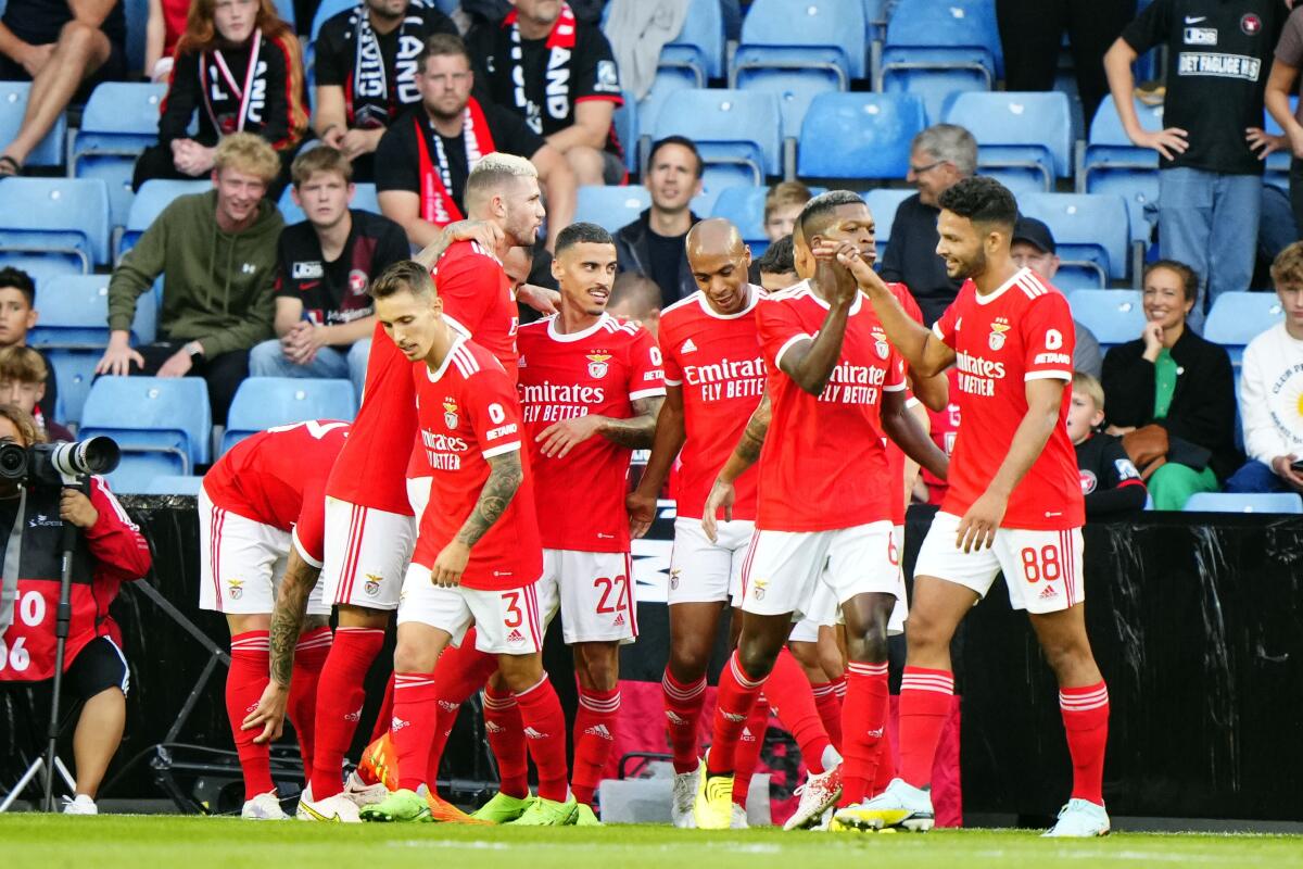 Jogo em Direto Benfica Midtjylland Champions - SL Benfica