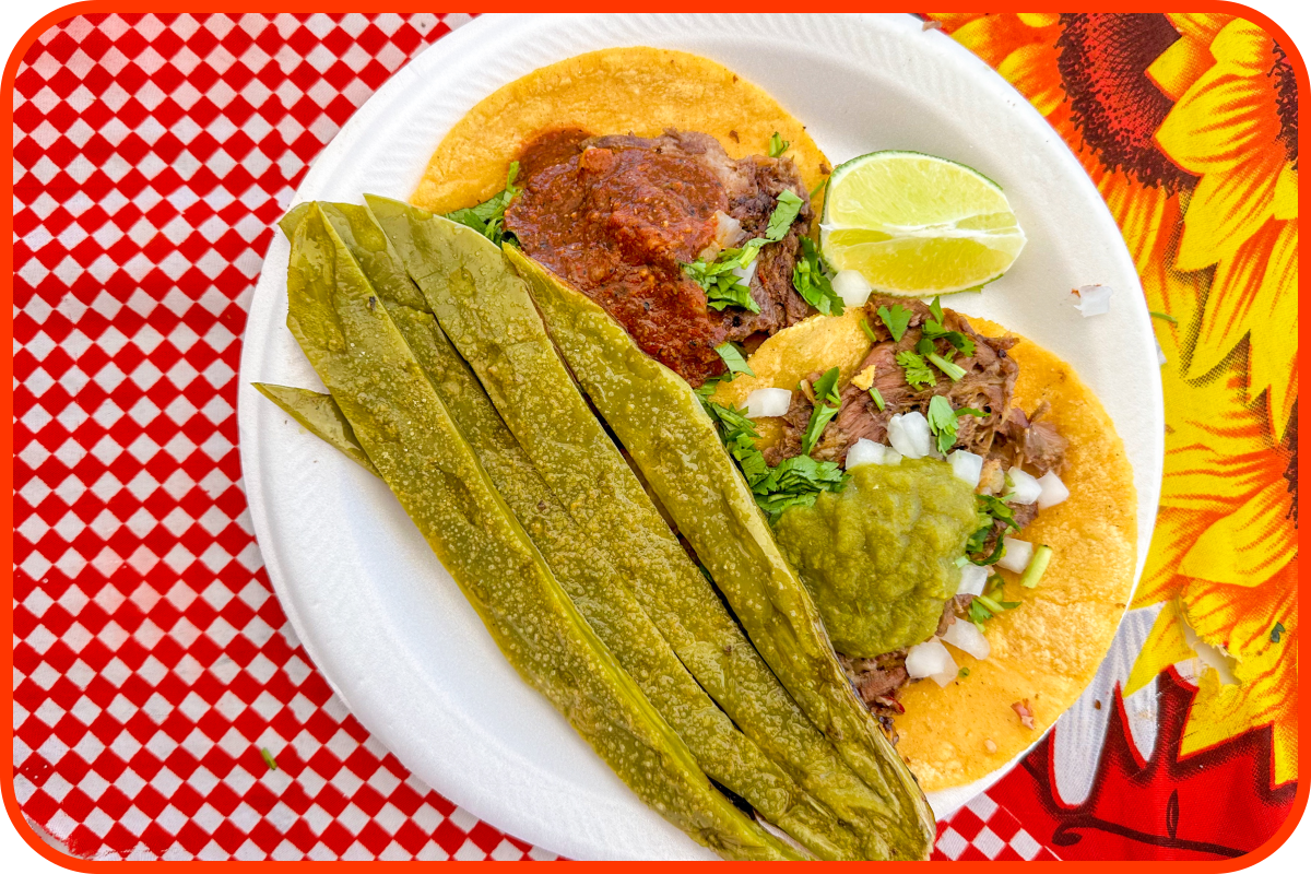 Tacos at Los Gardunos Barbacoa.
