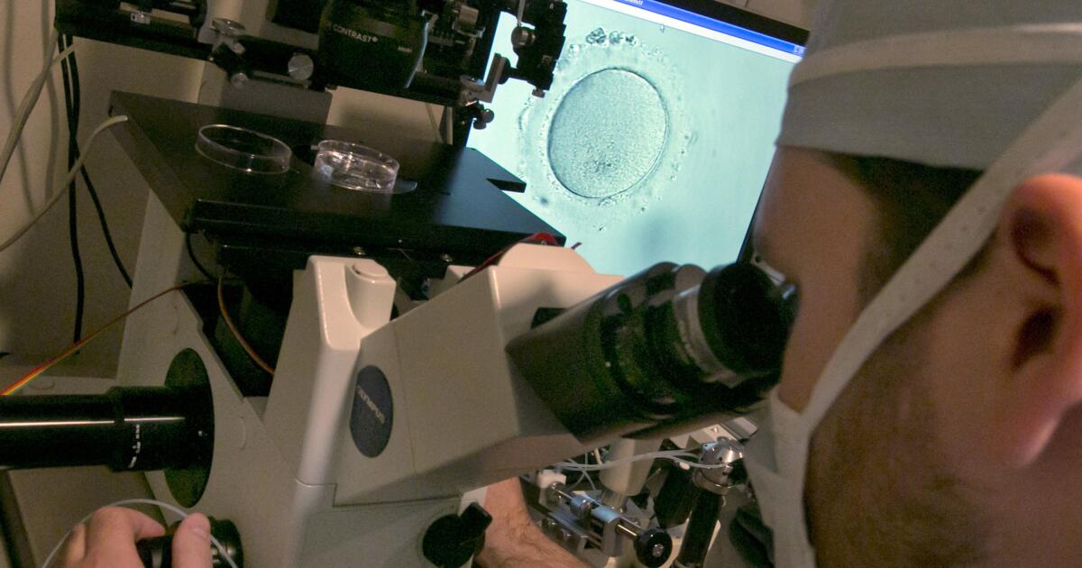 'What is this, “The Handmaid’s Tale”?' Exploring moral questions posed by controversial IVF ruling 'What is this, “The Handmaid’s Tale”?' Exploring moral questions posed by controversial IVF ruling