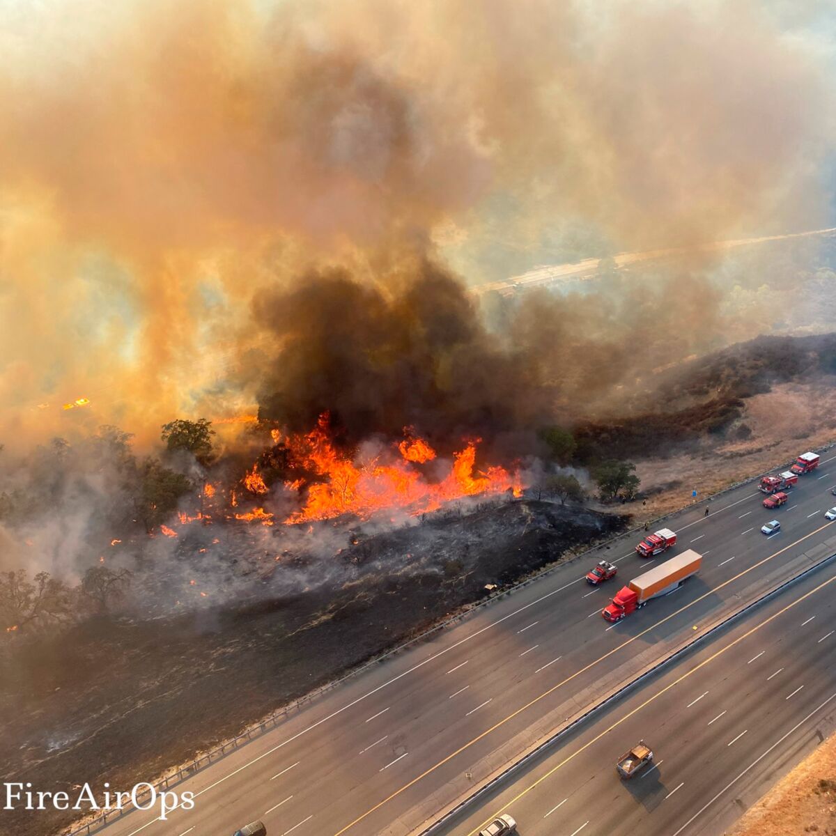 Wildfire by the side of a highway