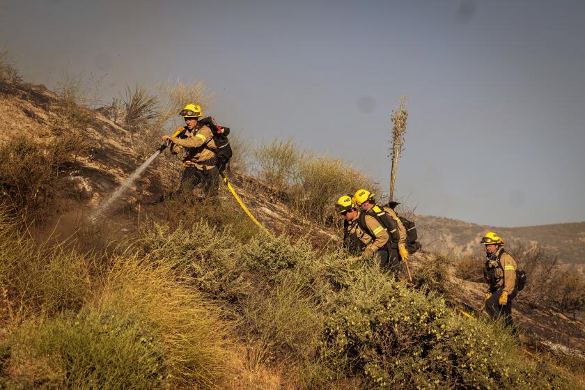 Gorman, CA - June 16: On Orwin road fire crews battle a hot spot at the Gorman Brush Fire in northern Los Angeles County on Sunday, June 16, 2024 in Gorman, CA. (Jason Armond / Los Angeles Times)
