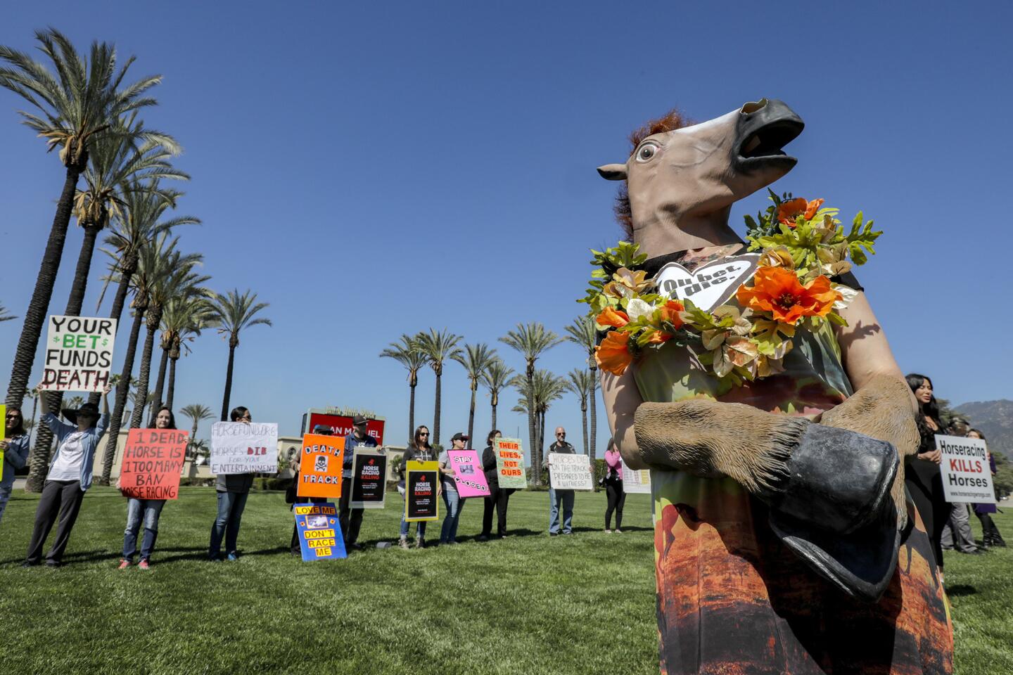 Santa Anita Park reopens