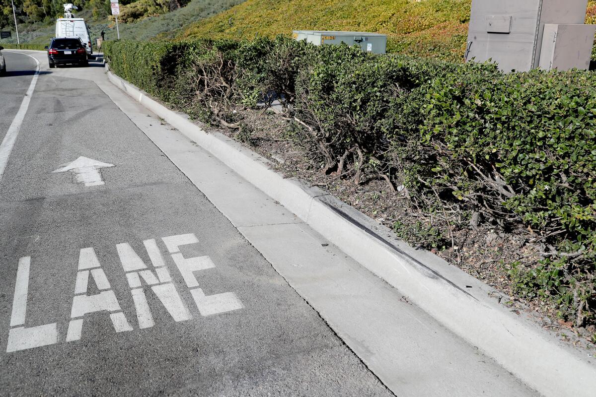 Tire marks and destroyed bushes next to a bike lane where a December 2020 collision killed two people.
