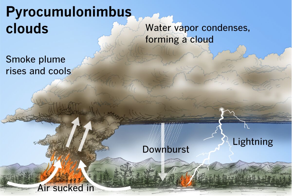 Illustration of clouds forming from air sucked in above a fire, smoke plume rising and cooling, and water vapor condensing