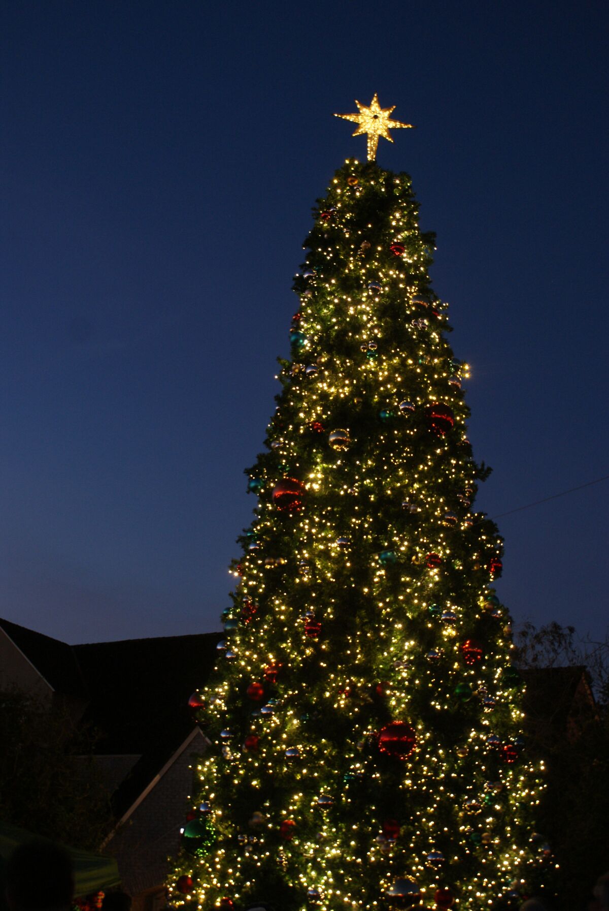 The holiday tree lit up at the Jim Watkins Amphitheater at L’Auberge Del Mar.