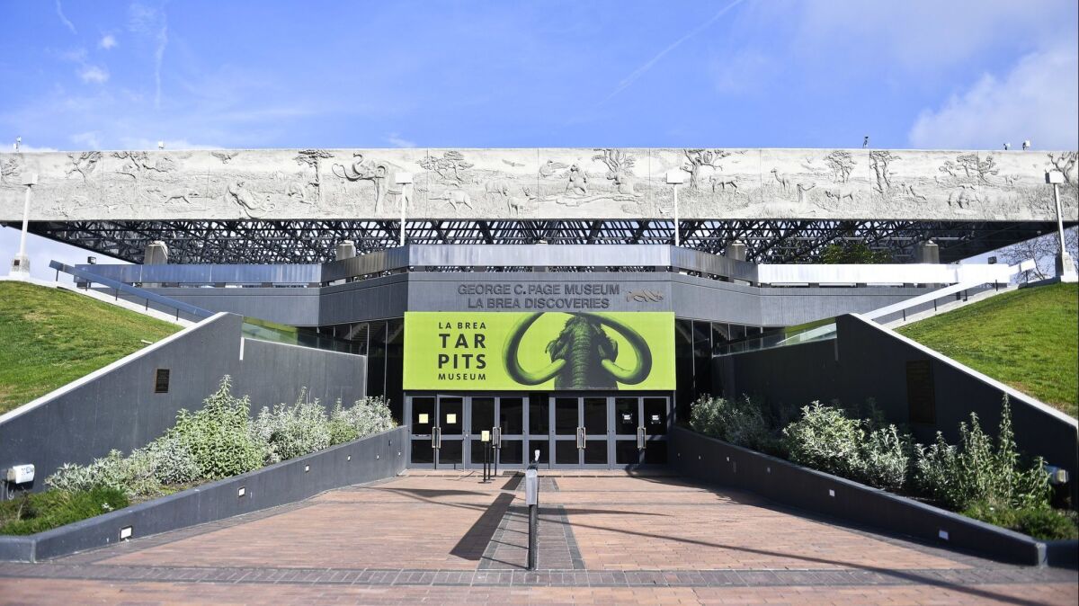The La Brea Tar Pits Museum was designed by Willis Fagan and Frank Thornton.