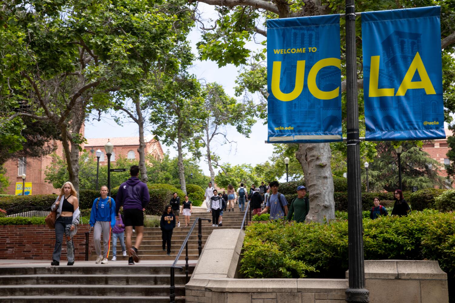 UC sets new record with largest, most diverse class of California students for fall 2024 