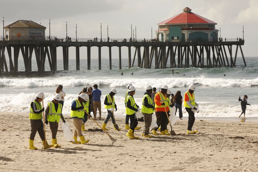 HUNTINGTON BEACH, CA - OCTOBER 11: Clean-up crews continue to comb the beach under partly cloudy skies at the Huntington Beach Pier after the city of Huntington Beach and California State Parks reopened city and state beaches at 6 a.m. Monday morning October 11, 2021.The joint decision to reopen the beaches comes after water-quality testing results showed non-detectable amounts of oil associated toxins in ocean water according to Huntington Beach police spokesperson Jennifer Carey. Huntington Beach Pier on Monday, Oct. 11, 2021 in Huntington Beach, CA. (Al Seib / Los Angeles Times).