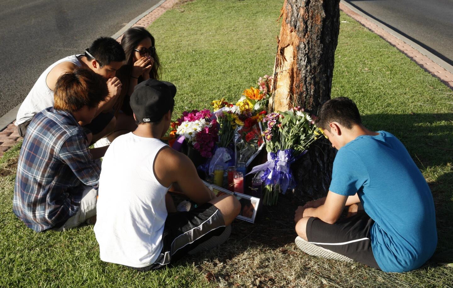 Cypress High School students, from left, Ramond Bada, 19; Josh Ong, 18; Alex Jamili, 17; Ian Song, 17; and Austin Milam, 17, mourn the loss of their friend, Irvine High School senior Robin Cabrera, 17. Robin was one of five teens killed in a fiery single-vehicle crash with a tree on a downhill stretch of Jamboree Road near Island Lagoon Drive on Memorial Day in Newport Beach.