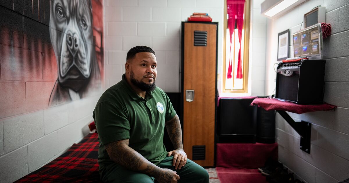 Newsom desires to remodel San Quentin utilizing a Scandinavian mannequin Newsom desires to remodel San Quentin utilizing a Scandinavian mannequin