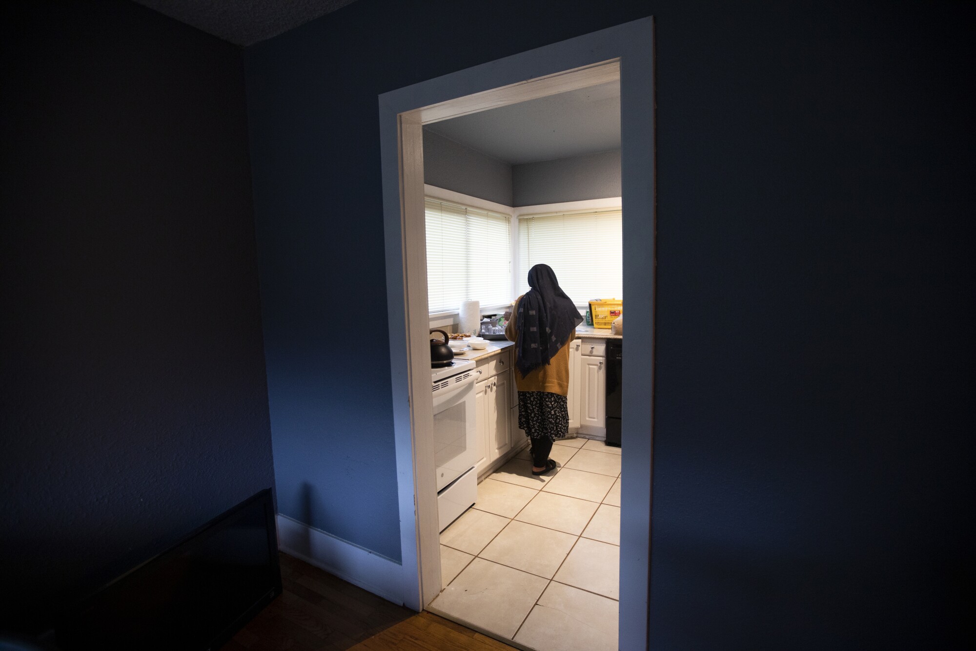 A woman is seen in a kitchen