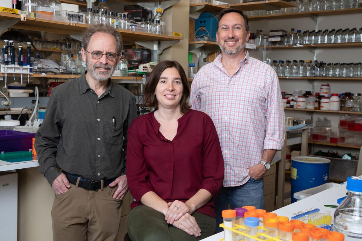 Marc Montminy, Laura Rodon and Reuben Shaw authored a study that might lead to better treatment options for lung cancer patients.