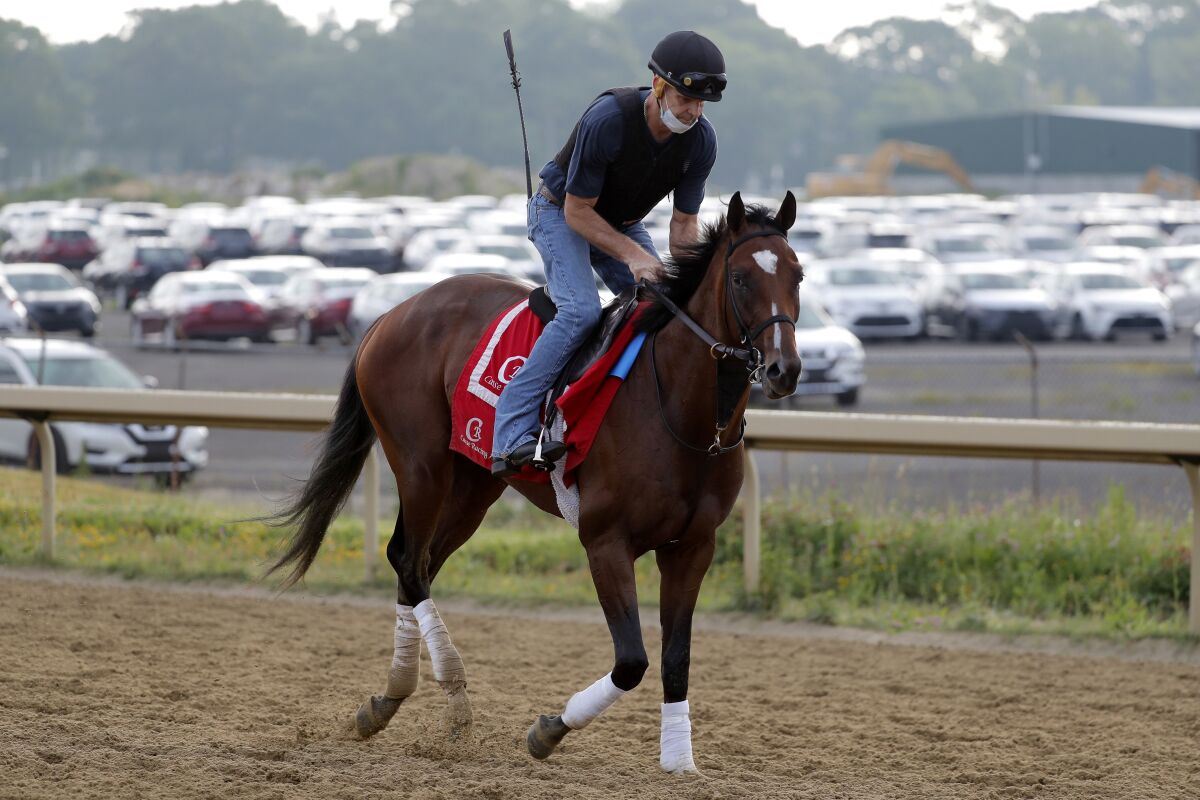 Tap It to Win works out at Belmont Park in Elmont, N.Y., on Friday.