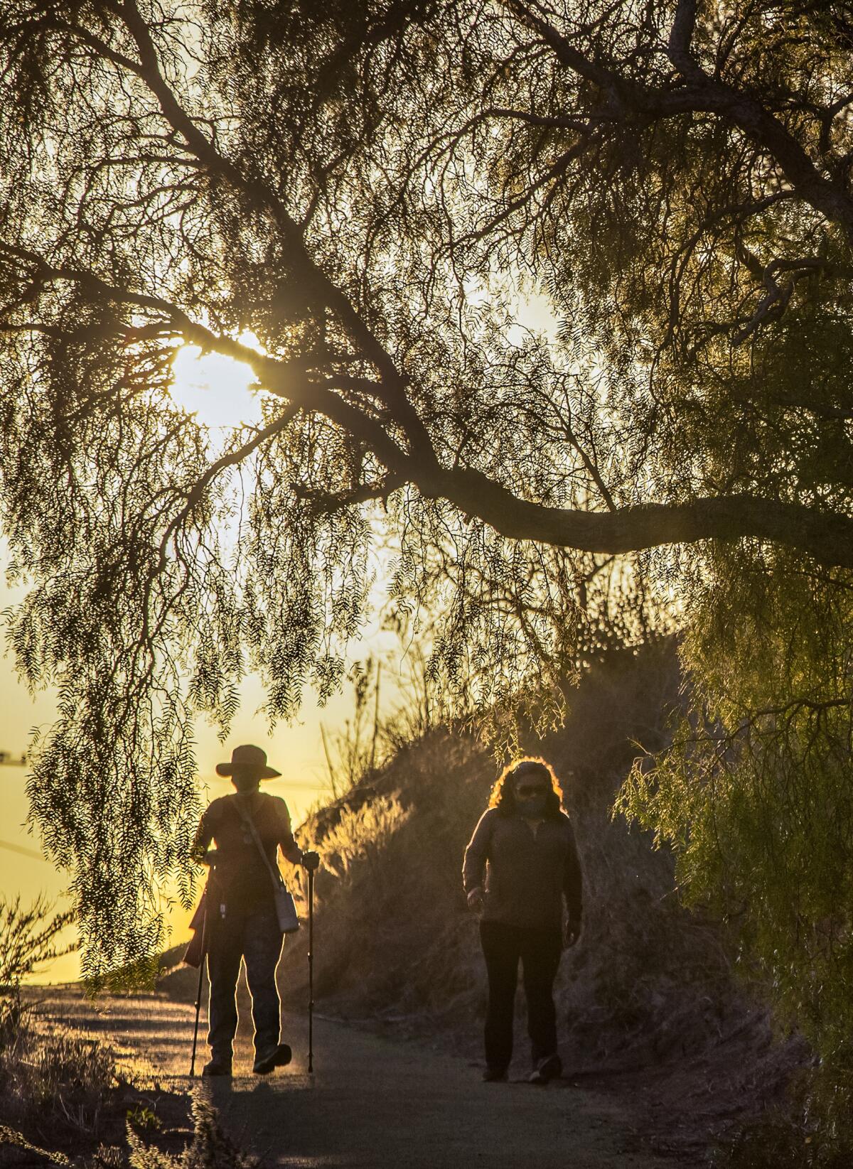 Hikers walk past California pepper trees at the Ventura Botanical Garden.