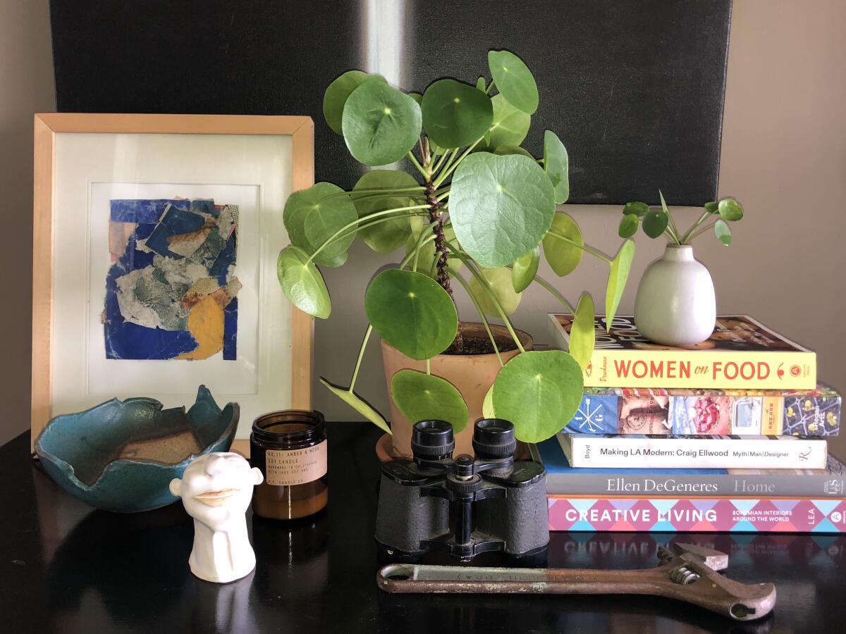 A Chinese money plant on a table with books, a pair of binoculars, a wrench and a framed print. 