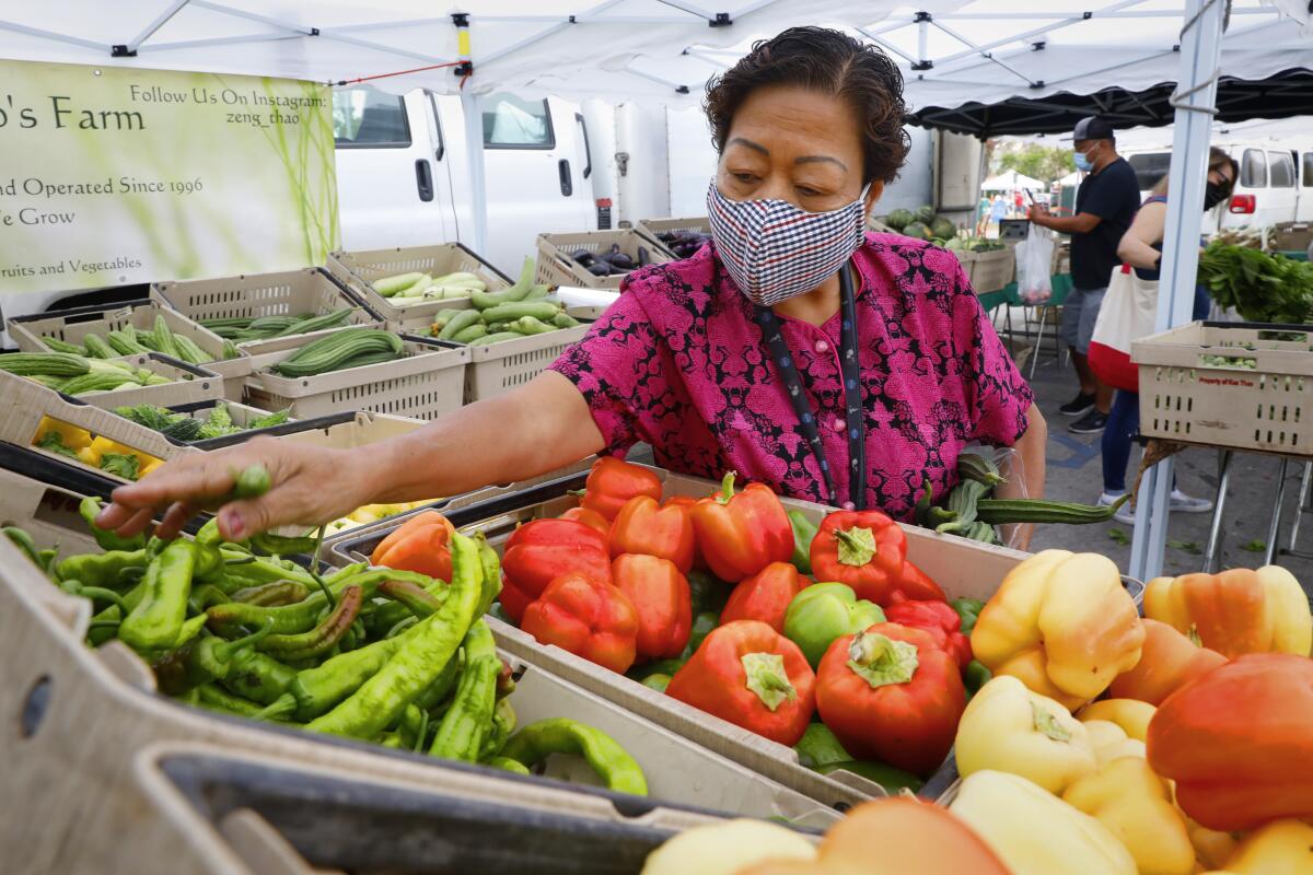 A woman shops for produce at a farmers market.