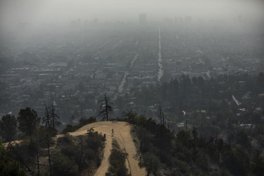 LOS ANGELES, CA - NOVEMBER 08, 2021: A jogger makes his way on a trail below the Griffith Observatory in Los Angeles. The South Coast Air Quality Management District on Saturday extended a mandatory prohibition on indoor and outdoor wood burning in much of Southern California through Sunday night due to a forecast of high air pollution in the area. (Mel Melcon / Los Angeles Times)