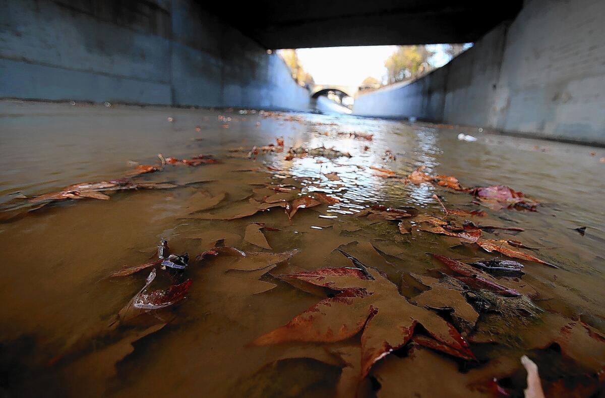 Leaves line the bed of the Arroyo Seco at its confluence with the Los Angeles River north of downtown Los Angeles, where the river is largely made of concrete.