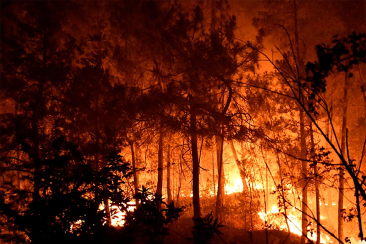This photo provided by the SDIS30 fire brigade shows trees burning during a fire Thursday, July 7, 2022 near Bordezac, in southern France. Hundred of firefighters backed by water-dropping planes battled a large forest fire Friday in southeast France that has forced the evacuation of nearby villages.Thirteen firefighters have been injured in Bordezac — the village where the fire started. (SDIS30 via AP)