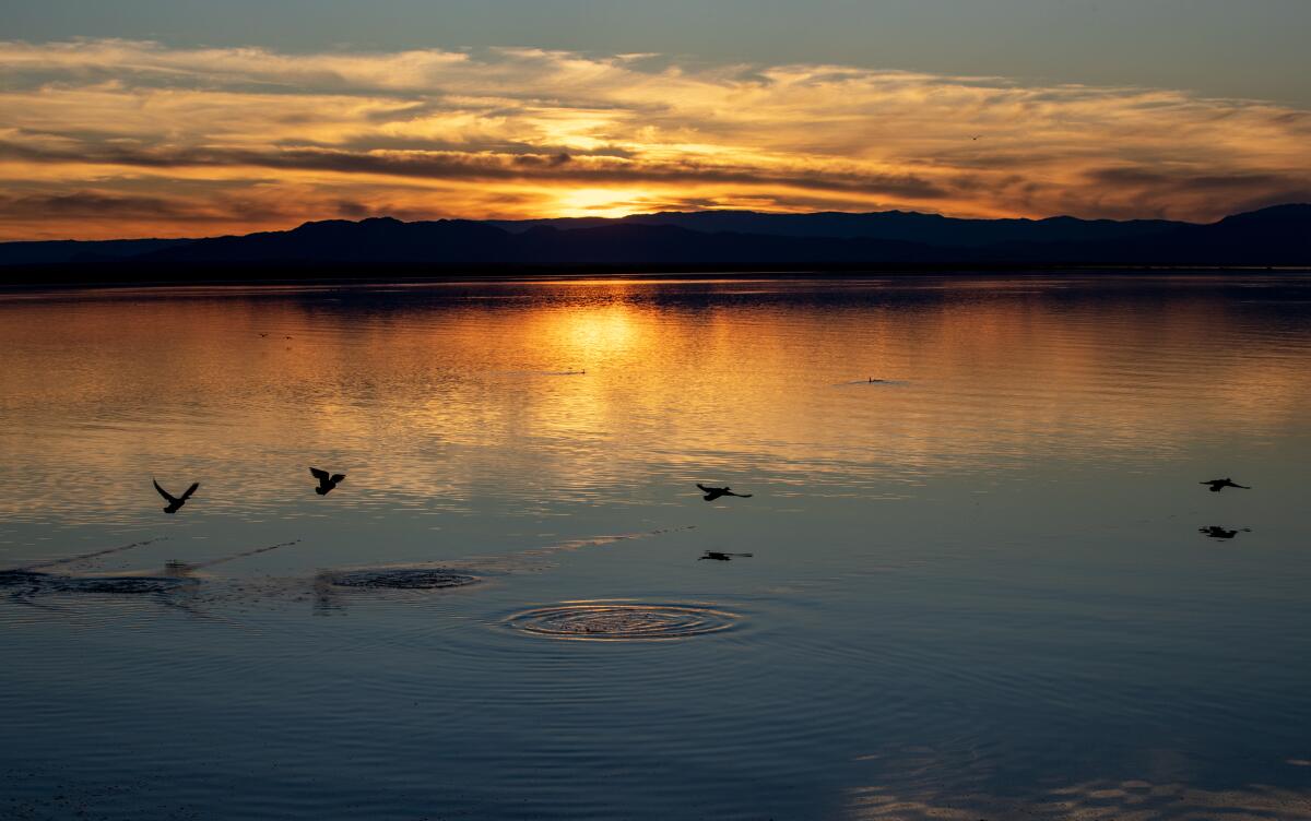Dusk settles over the Salton Sea in 2022.